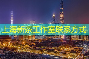 <strong>上海品茶网</strong>：在上海参加创业与文化活动